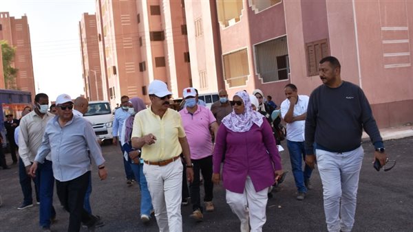 محافظ أسوان