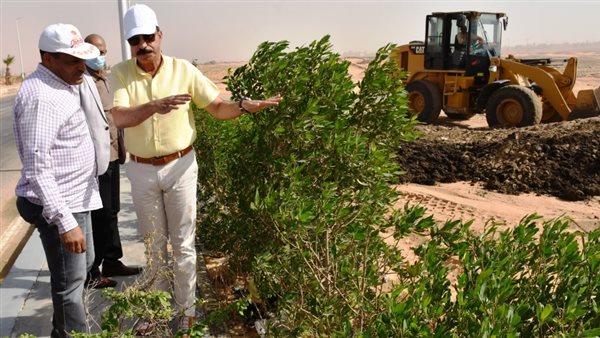 محافظ أسوان