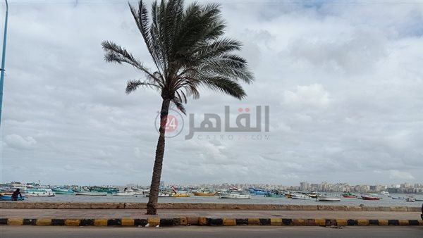 الإسكندرية خلال نوة
