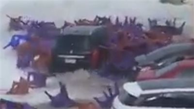 تسونامي المهندسين ابتلع النادي بالإسكندرية.. النقيب: الوضع خارج السيطرة ولا يمكن مقاومة الطبيعة | فيديو