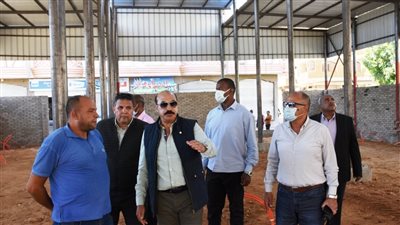 تكثيف حملات رش المبيدات لمواجهة الحشرات الطائرة بأسوان