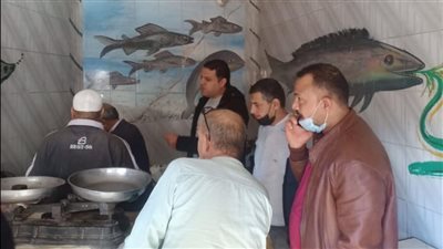 ضبط 80 كيلو لحوم مذبوحة خارج المجازر وفسيخ مجهول المصدر في بيلا | صور