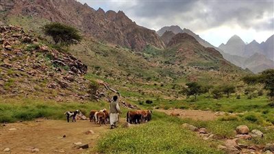 طبيعة نادرة ونقوش فرعونية.. جبل علبة إحدى أهم المحميات الطبيعية بالعالم