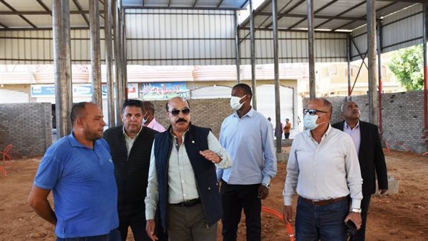 محافظ أسوان