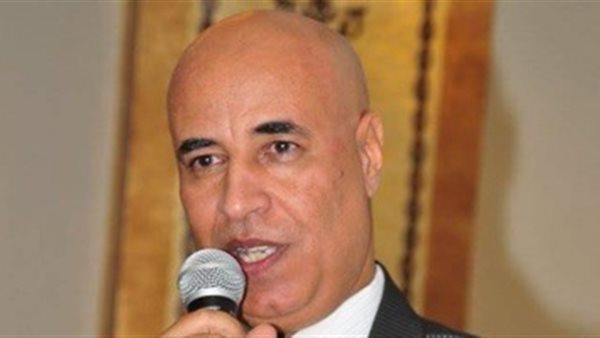 عادل حنفي نائب رئيس