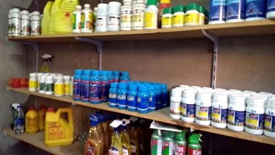 شعبة الأدوية: إغلاق تطبيق إلكتروني لبيع الدواء عبر الإنترنت بسبب الإضرار بالمواطنين