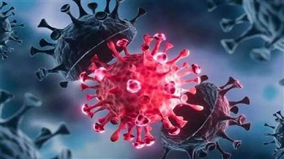 بث مباشر| الصحة العالمية تحذر من متحور أوميكرون: أكثر عدوى من ألفا ودلتا 3 مرات