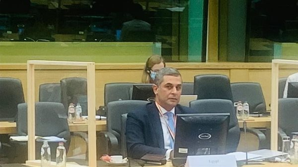 الوزير المفوض محمد