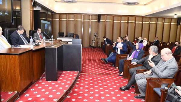 النائب أحمد فرغلي