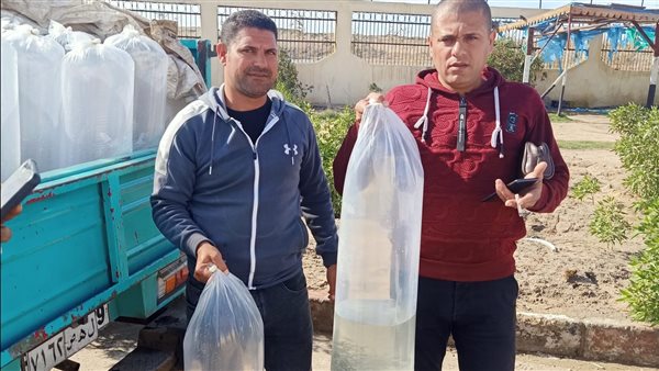 ضبط سيارتين محملة