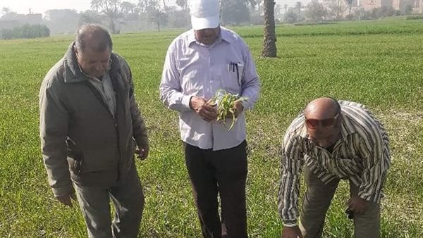 تكثيف البحث عن إصابات