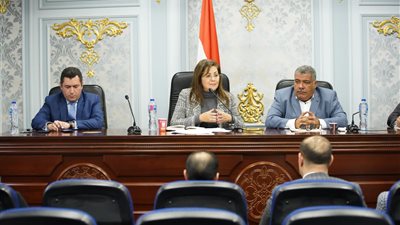 وزيرة التخطيط تستعرض خطة 100 إجراء لتحفيز قطاع الصناعة وتنمية الصادرات