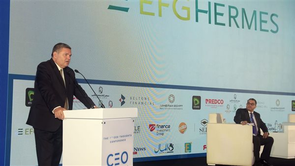 وزير قطاع الأعمال