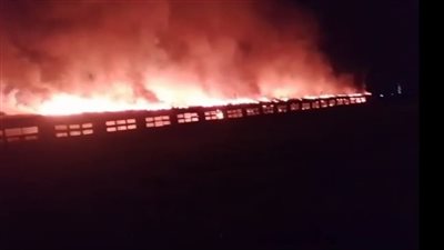نفوق 9 آلاف كتكوت في حريق هائل داخل مزرعة بالواحات البحرية.. والحماية المدنية تسيطر