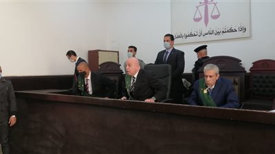 جنايات الفيوم تقضي بالإعدام شنقًا لقاتل صديقه بسبب سرقة المواشي| فيديو