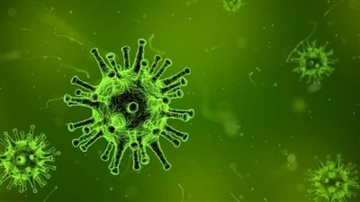 مفاجأة عن حقيقة أول بؤرة لـ أوميكرون.. وأوروبا تواجه المتحور الجديد بالتطعيم الإجباري