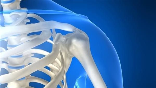 العظم الزجاجي