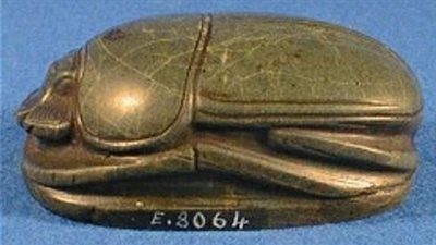 ظهرت من الدولة الحديثة.. تعرف على جعران القلب 