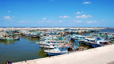 التضامن: انطلاق المرحلة الأخيرة من مبادرة بر أمان الشهر الجاري 