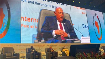 وزير الخارجية: جائحة كورونا أسفرت عن تحديات غير مسبوقة