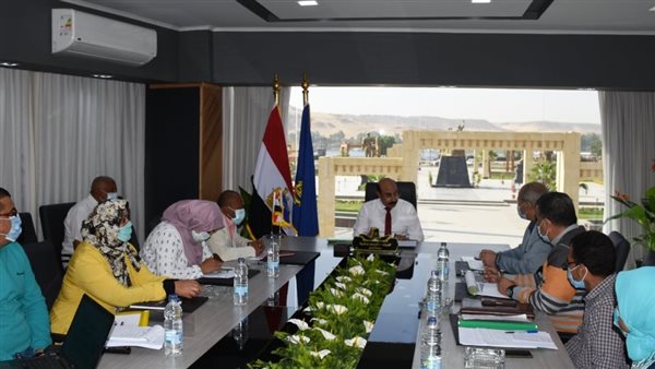 محافظ أسوان