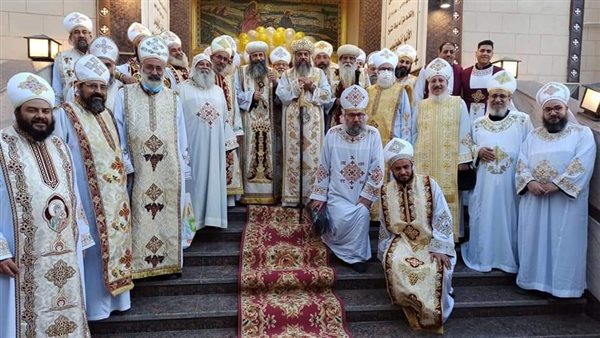 سامة 7 قمامصة و3