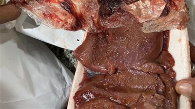 ضبط لحوم ودواجن مجمدة غير صالحة في حملة للطب البيطري بالغربية