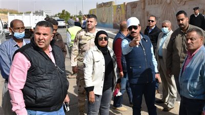 عطية يوجه بتكثيف أعمال التجميل لتحويل مدينة أسوان إلى بانوراما جمالية 