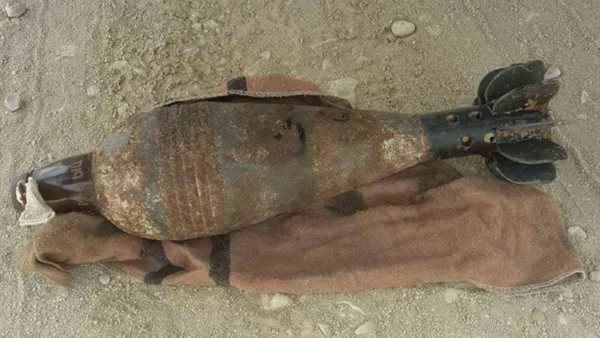 دانه - أرشيفية 