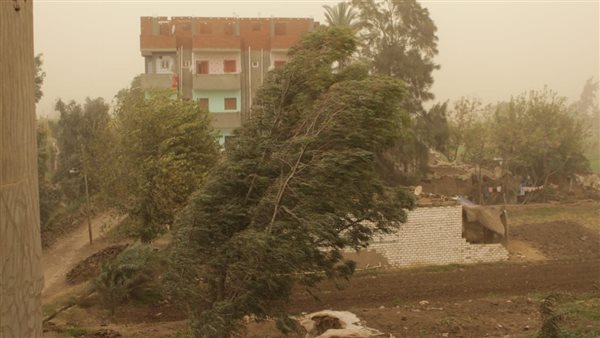 عواصف ترابية في المنوفية