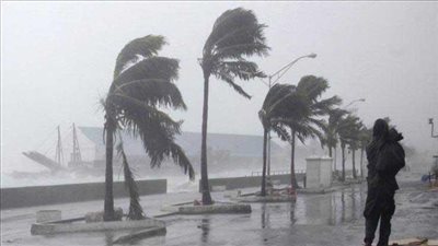 الأرصاد توضح حالة طقس الغد: شديد البرودة ووصول درجة الحرارة إلى 6