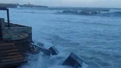 بث مباشر | ظهور طيور النورس بالسماء وتحطم اللوحات الإعلانية.. أبرز مشاهد موجة الطقس السيء بالإسكندرية