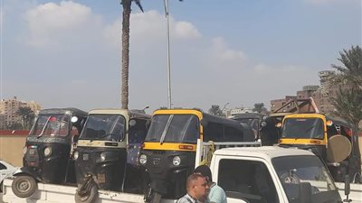 جهاز القاهرة الجديدة: إزالة إشغالات وضبط مركبات توك توك في حملات جديدة