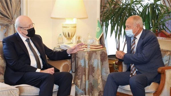 أبو الغيط ورئيس الوزراء