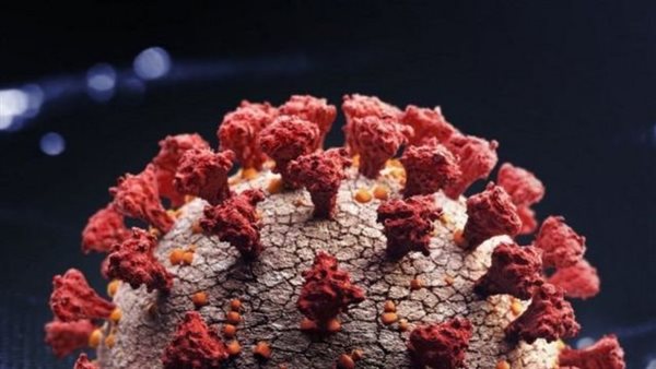 فيروس كورونا 