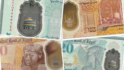 الهيروغليفية ما زالت متداولة.. رسائل خفية بالأوراق الرسمية المصرية