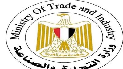 وكيل وزارة التجارة: 95% من احتياطي الماس حول العالم في إفريقيا 