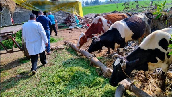 حملات تحصين الماشية