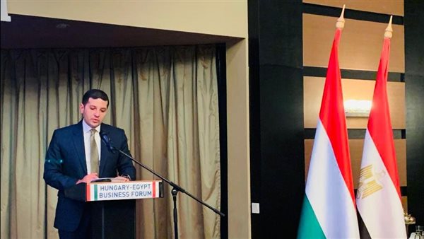 المستشار محمد عبد