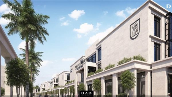 جامعة القاهرة الدولية