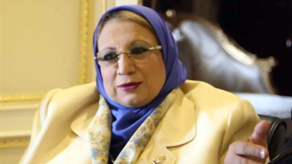 النائبة إيناس عبدالحليم