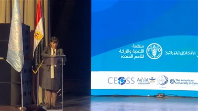 الأمم المتحدة تطلق جائزة للتطوع لأول مرة في مصر