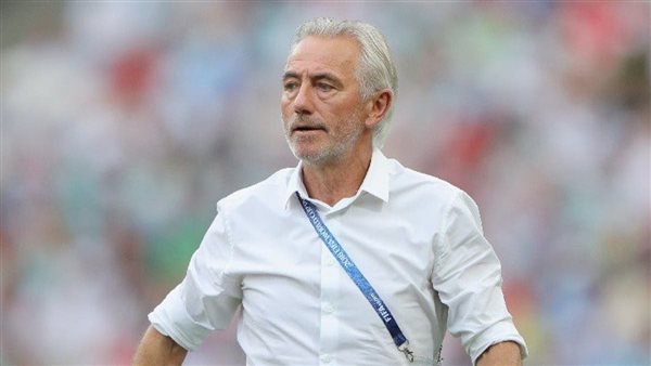 بيرت فان مارفيك