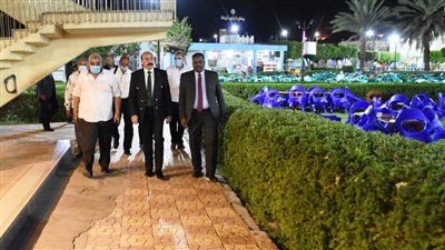 محافظ أسوان يهنئ مجلس إدارة النادي الرياضي الجديد