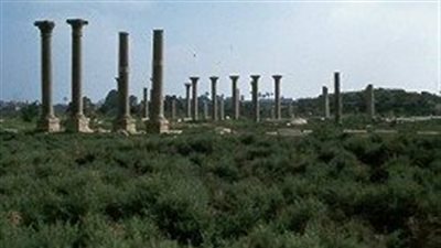  أهم مركز لعبادة الرب تحوت.. تعرف على مدينة هيرموبوليس في مصر القديمة 