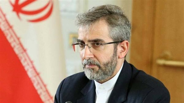 كبير المفوضين الإيرانيين