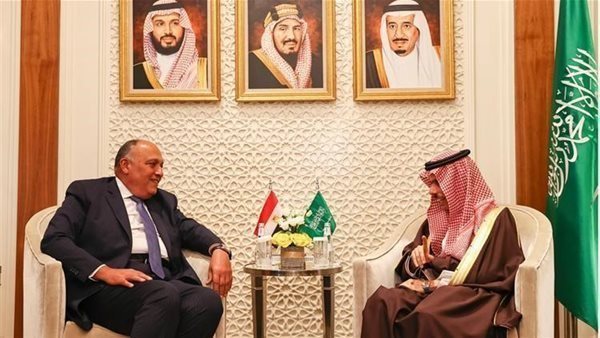 وزيرا خارجية السعودية