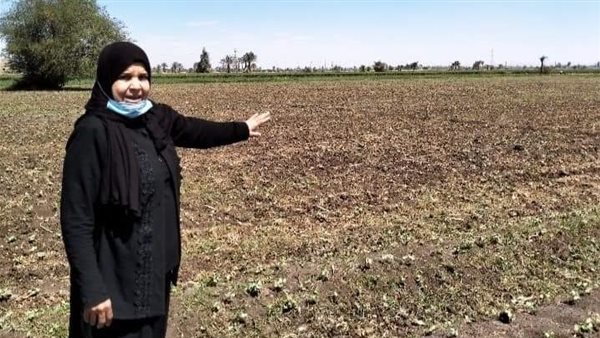 وكيل زراعة أسيوط