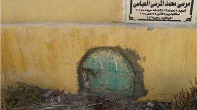 قبر شهيد بالغربية يتحول لخلايا نحل تُنتج العسل.. وأسرته: ربنا بيرطب علينا آلم فراقه | لايف