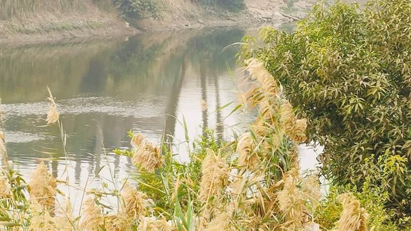 قطار يدهس شابين